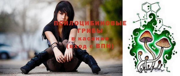 твердый Верхний Тагил
