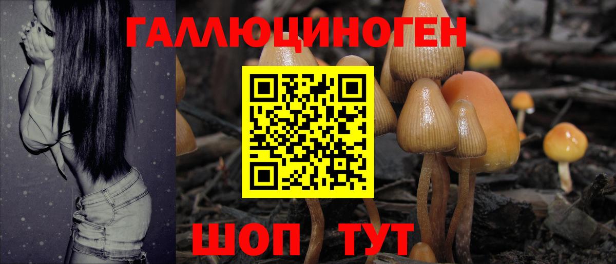 Псилоцибиновые грибы мицелий Мончегорск
