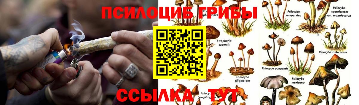 Мончегорск  Псилоцибиновые грибы Magic Shrooms  Вход с VPN 