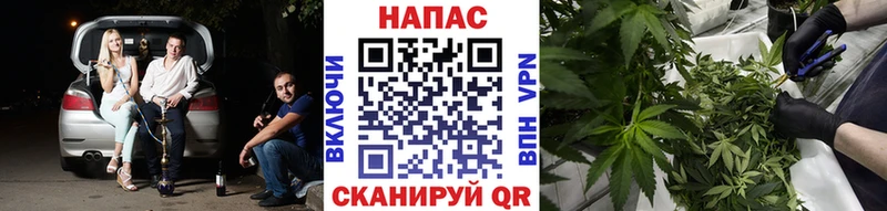 Канабис OG Kush  Мончегорск 